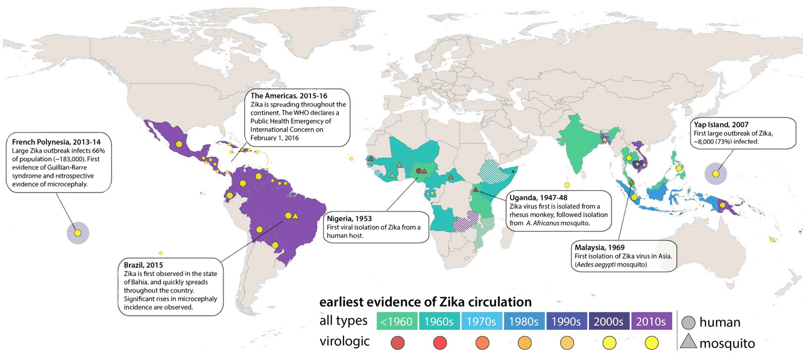 История распространения вируса Зика