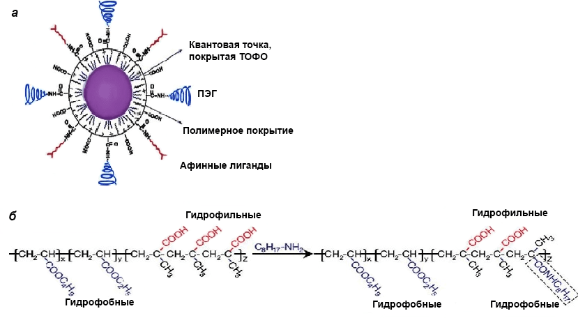 Структура триблочного полимера