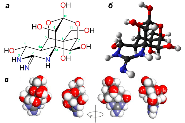 Химическая структура тетродотоксина