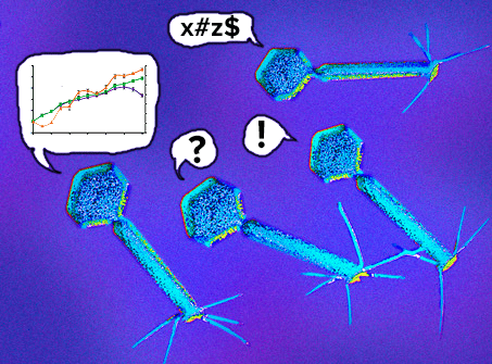 О чём говорят бактериофаги?