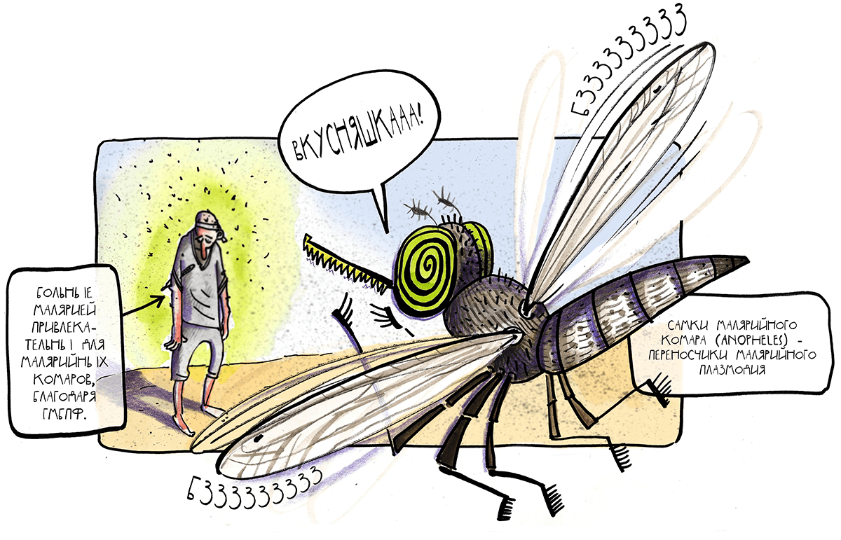 Комар атакует больных малярией