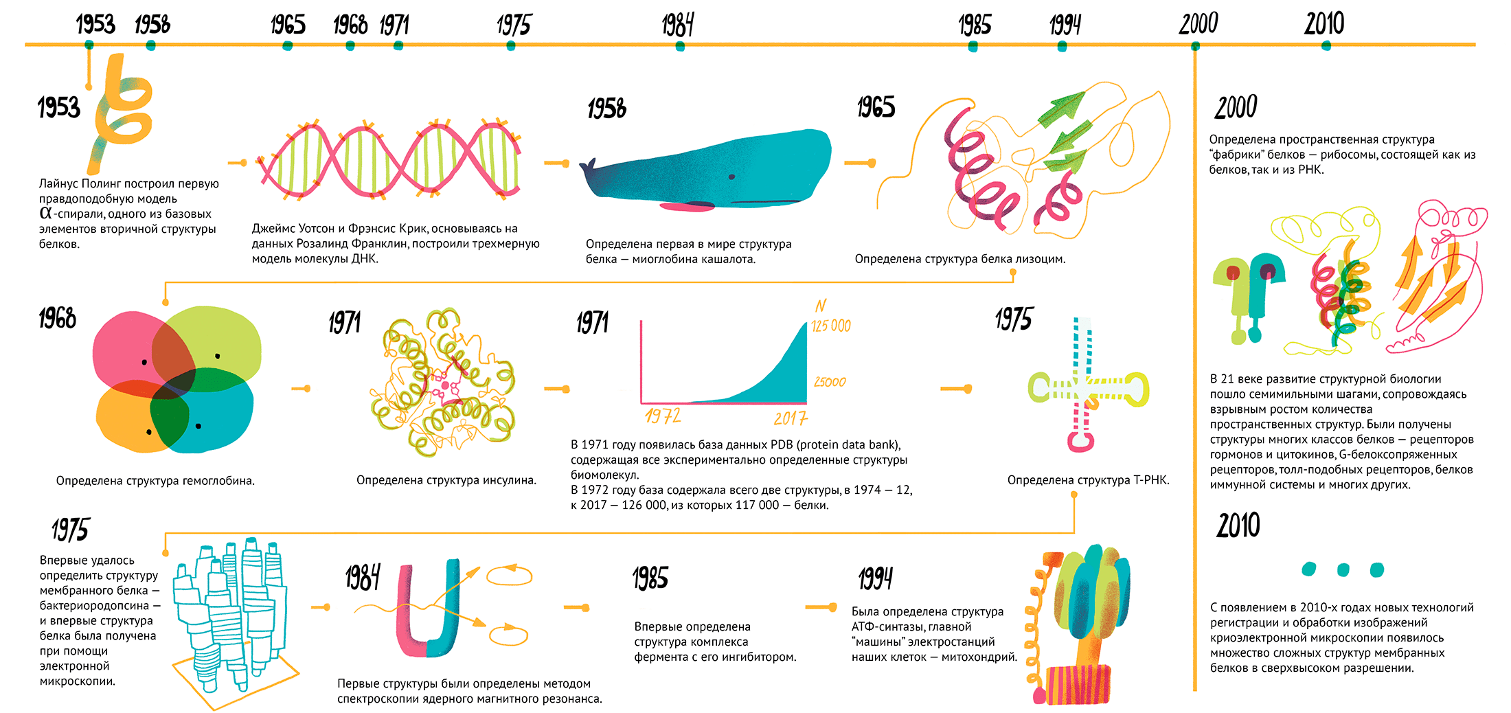 История структурной биологии