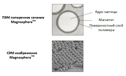 Изображение частиц с использованием электронной микроскопии