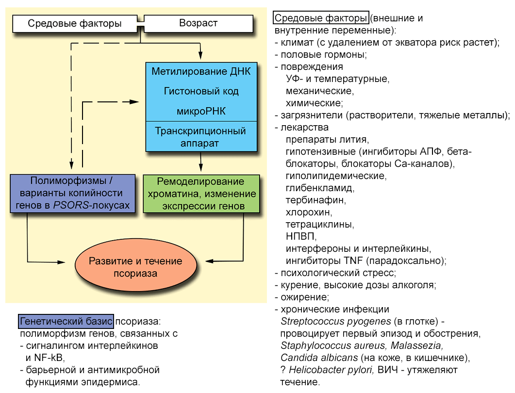 Взаимодействие разных факторов в развитии псориаза