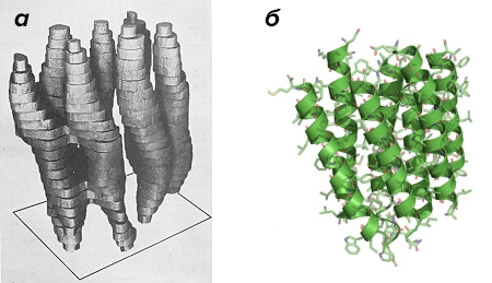 Эволюция модели бактериородопсина