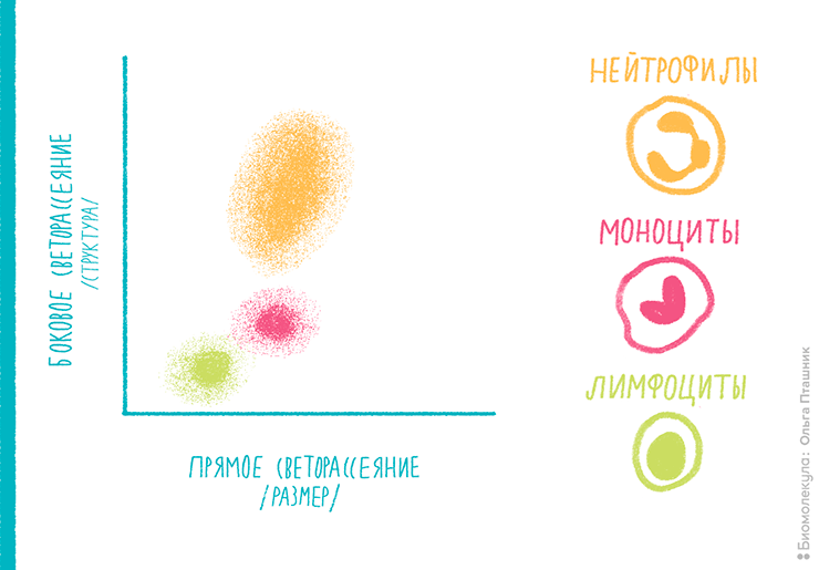 Диаграмма бокового—прямого светорассеяния