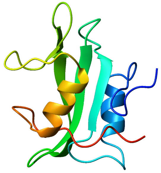 Структура SH2-домена