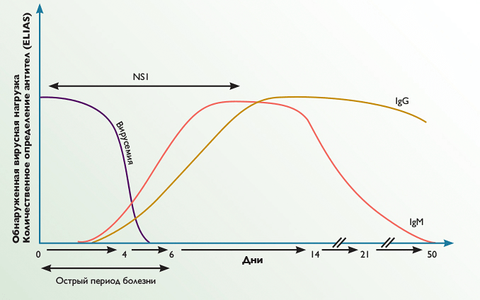 Кривая накопления антител