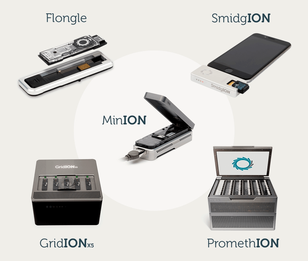 Ð¡ÐµÐºÐ²ÐµÐ½Ð°ÑÐ¾ÑÑ Oxford Nanopore Technologies