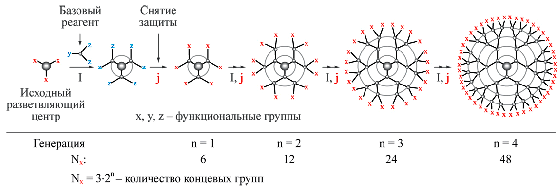 Схема синтеза дендримера