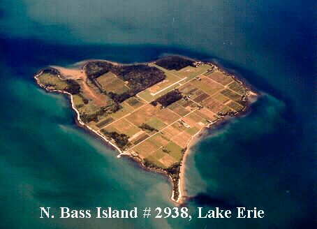 Северный остров Басса