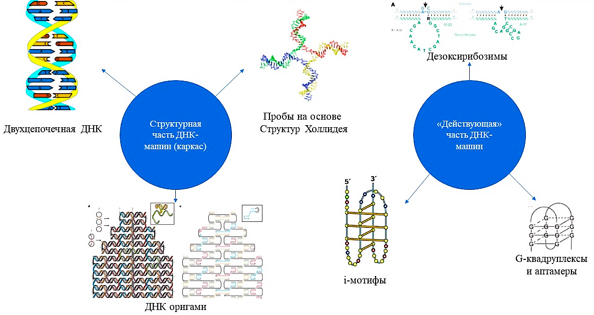 Схематичное представление различных составных частей ДНК-наномашин