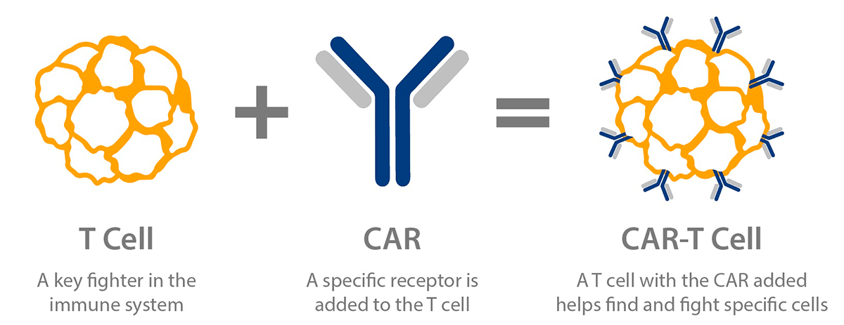 Схема CAR-T-клеток