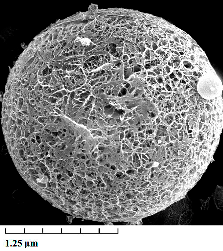 Коллагеновая микросфера
