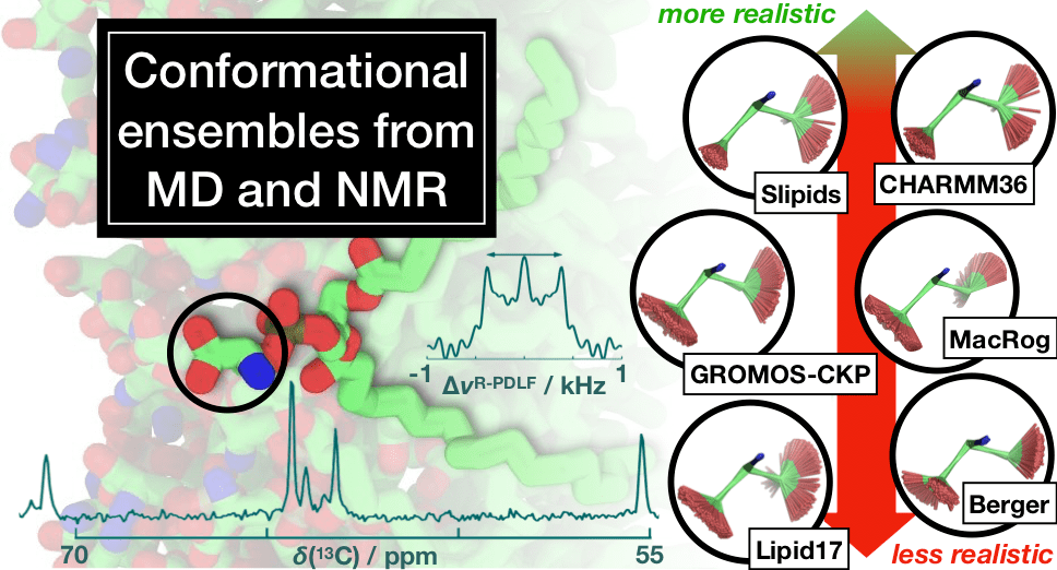 Результаты работы NMRlipids