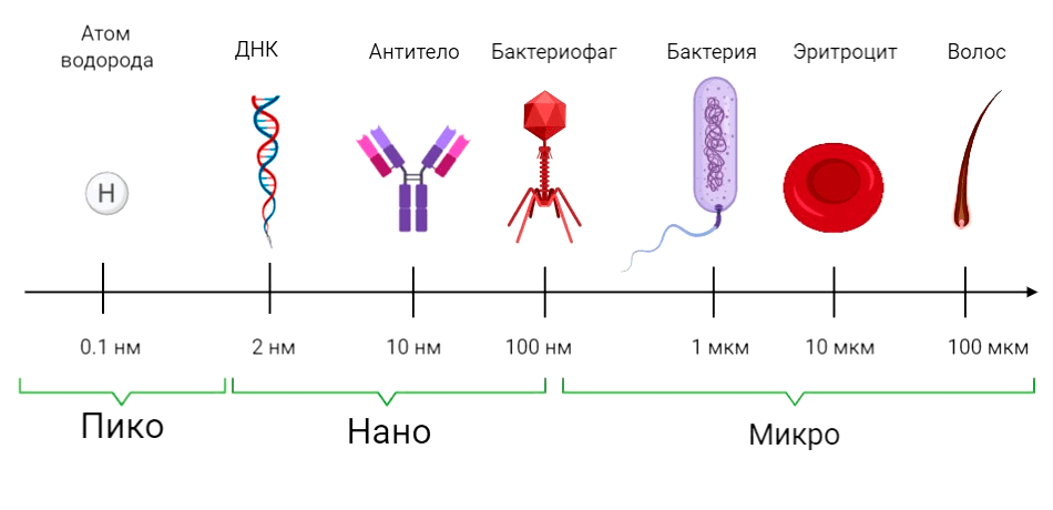 Шкала микро-, нано- и пикоразмерных объектов