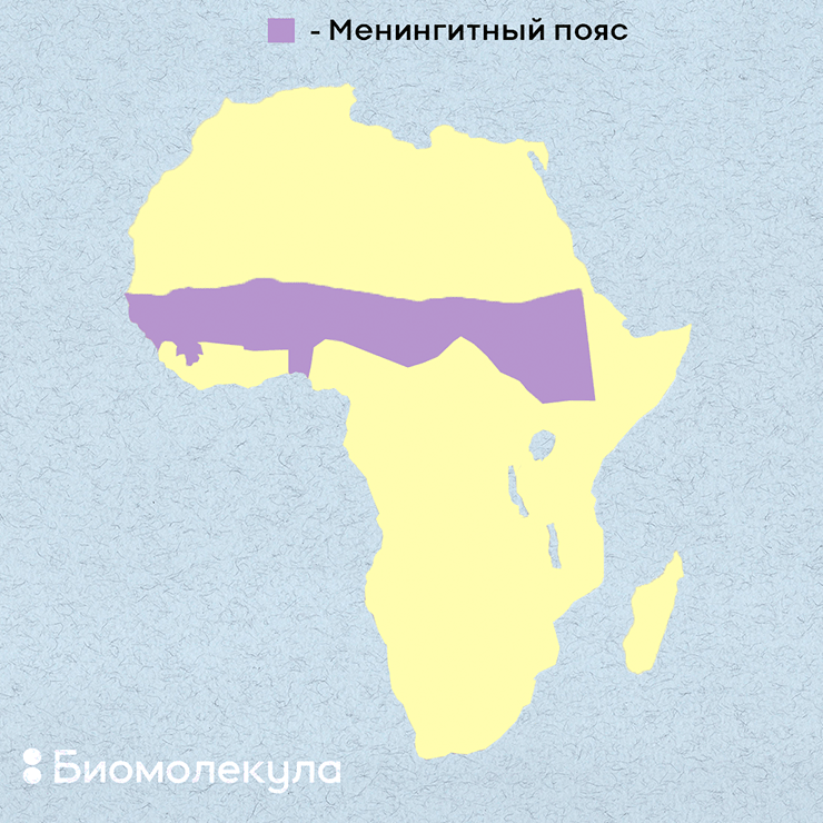 «Менингитный пояс» в Африке
