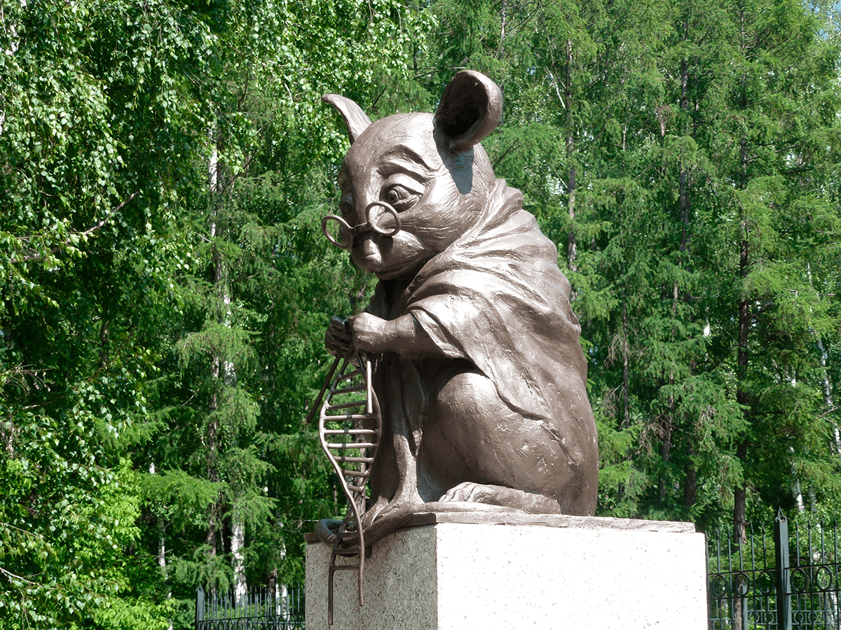 Памятник мыши возле Института цитологии и генетики СО РАН