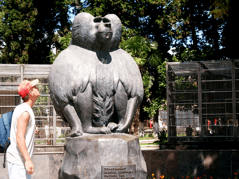 Памятник подопытной обезьяне-гамадрилу