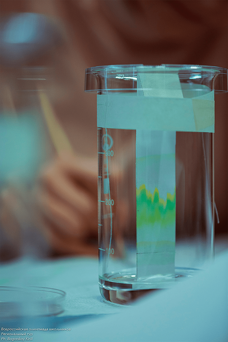 Хроматографическая бумажка в стакане с бензином