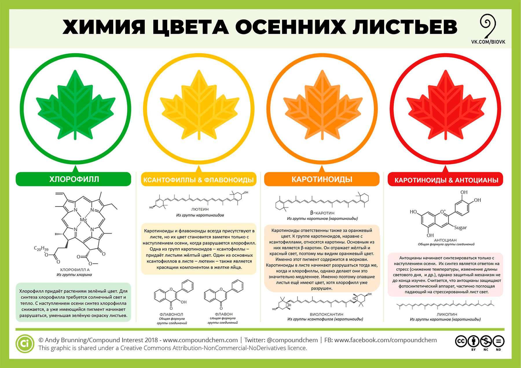 Химия осенних листьев