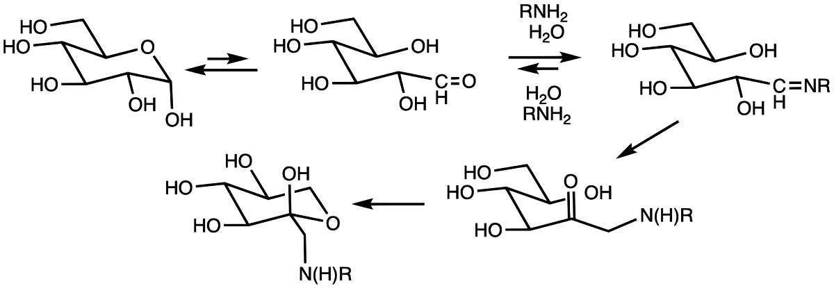 Схематичное изображение процесса гликирования белков