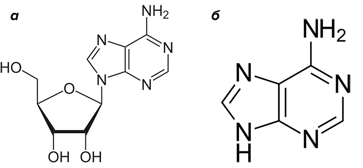 Лиганды для P1- и P0-рецепторов