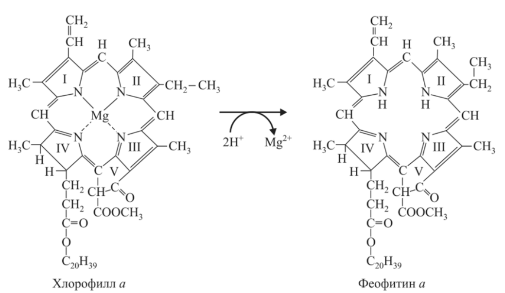Химическая структура превращения хлорофилла а в феофитин а