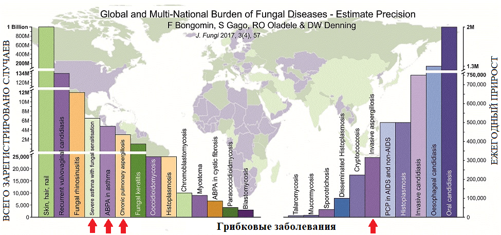 Количество зарегистрированных в мире случаев микотических инфекций