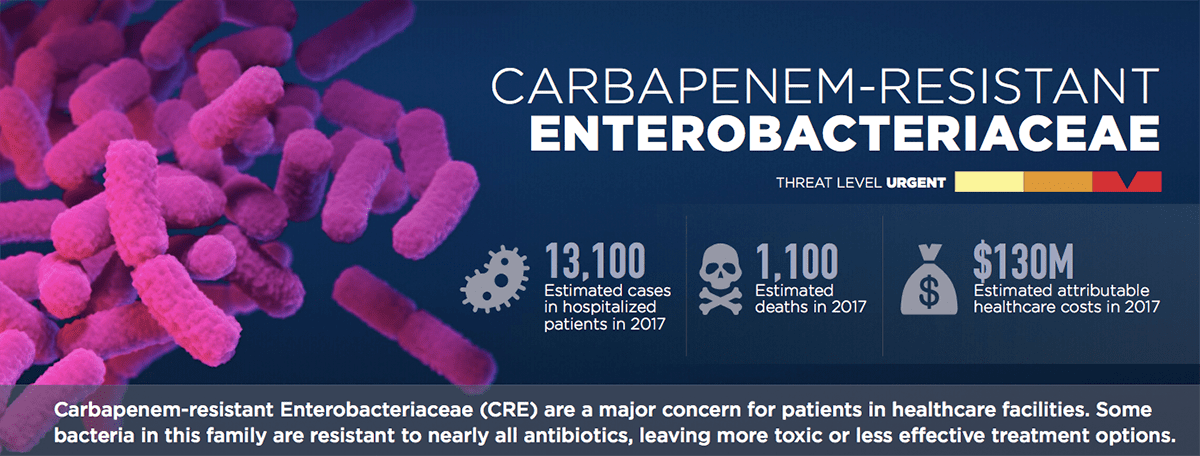Карбапенем-резистентные энтеробактерии