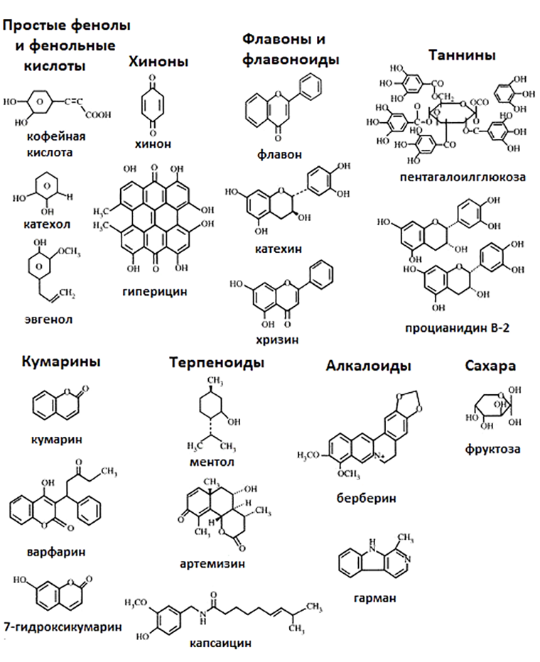 Химические структуры разнообразных вторичных метаболитов растений