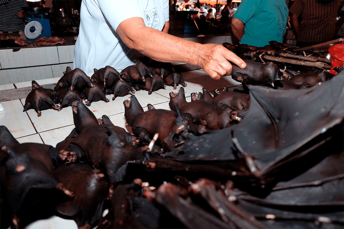 Прилавок с тушками летучих лисиц на одном из влажных рынков в Индонезии