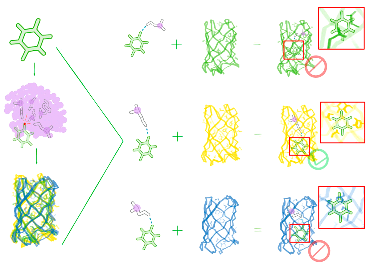 Создание белка заданной формы, связывающего лиганд