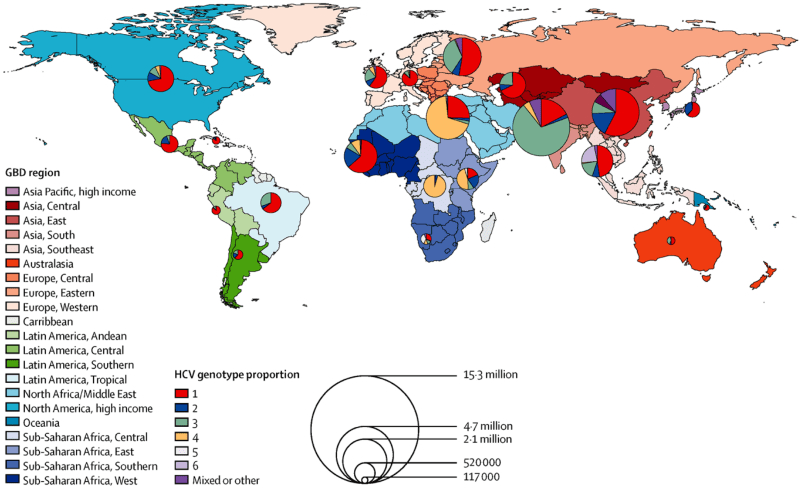 Распределение генотипов HCV в мире