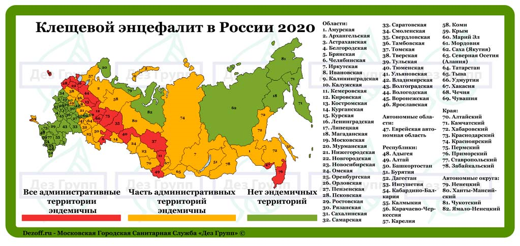 Регионы России, эндемичные по клещевому энцефалиту