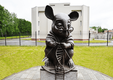 Памятник лабораторной мыши в новосибирском Академгородке