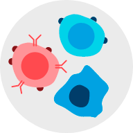 Клеточная и молекулярная иммунология