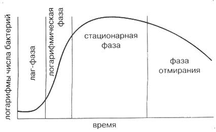 Кривая роста клеток