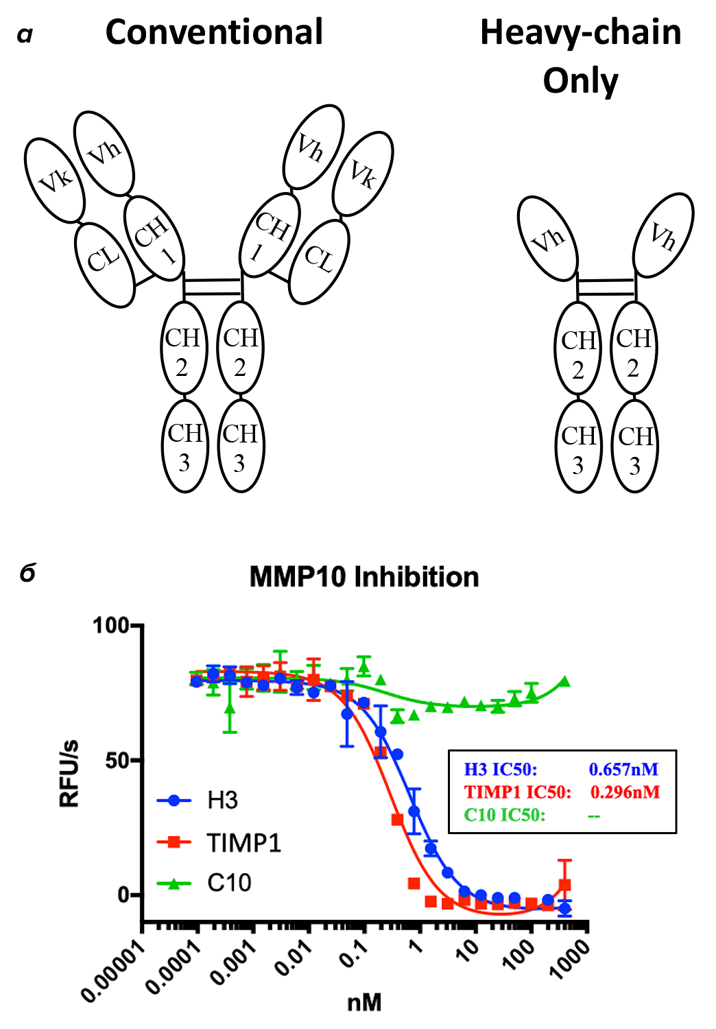 Необычные антитела против MMP-10
