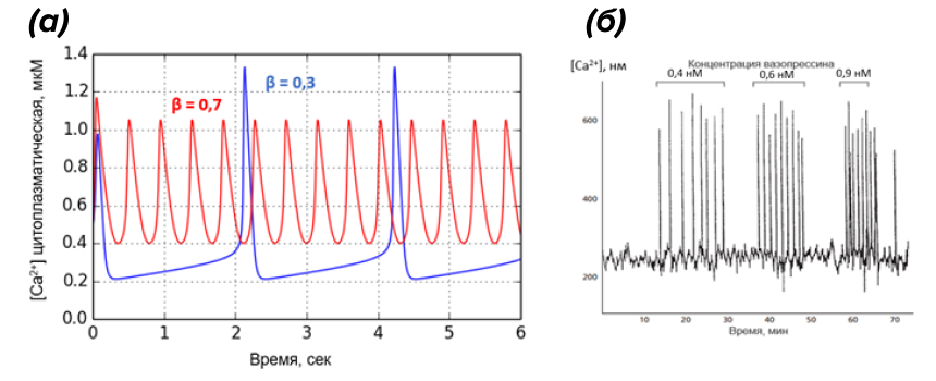 Использование частотной модуляции (ЧM) для кодирования силы стимула