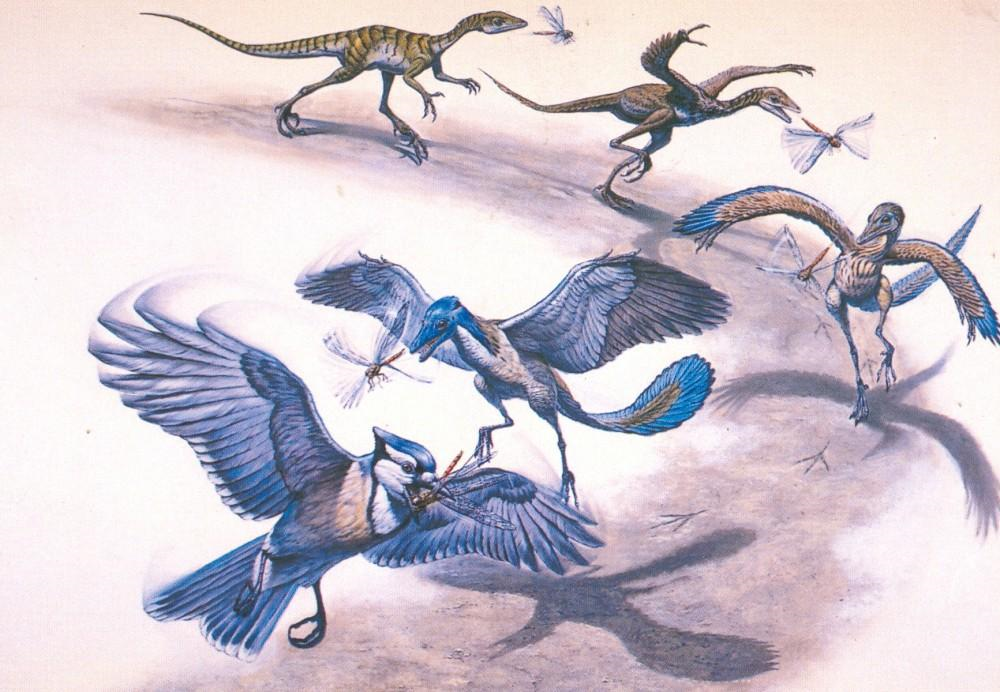 От динозавра до птицы