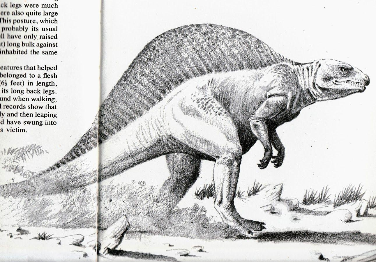 Реконструкция спинозавра 1981 года