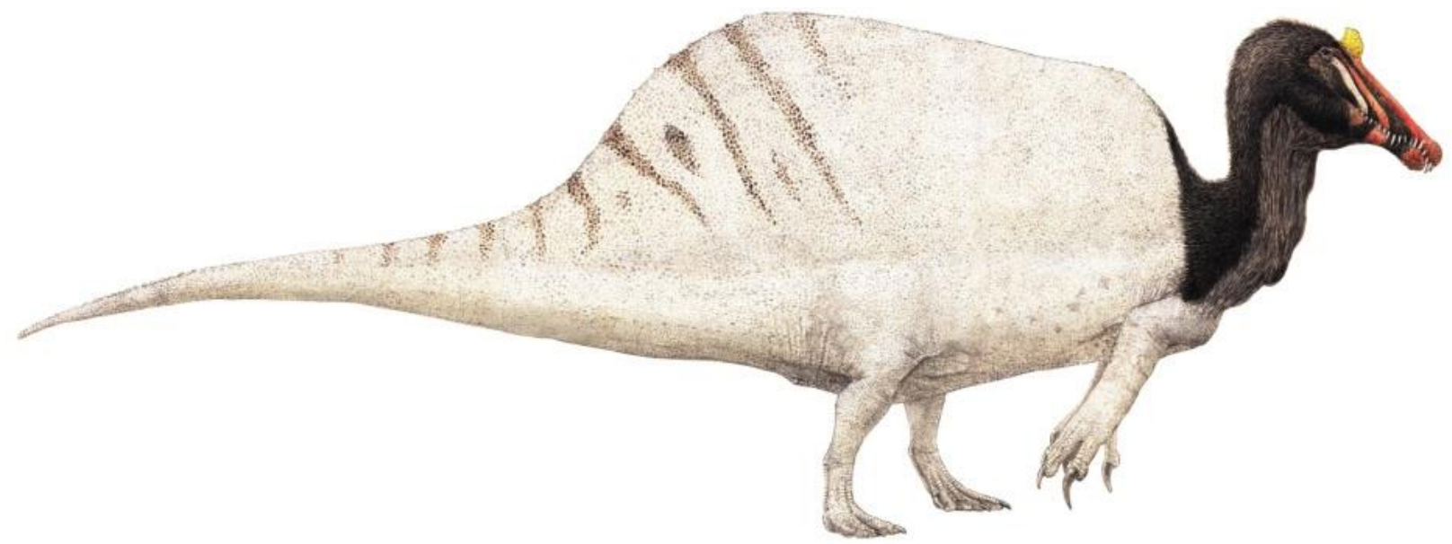 Двуногий спинозавр от Джошуа Кнуппе