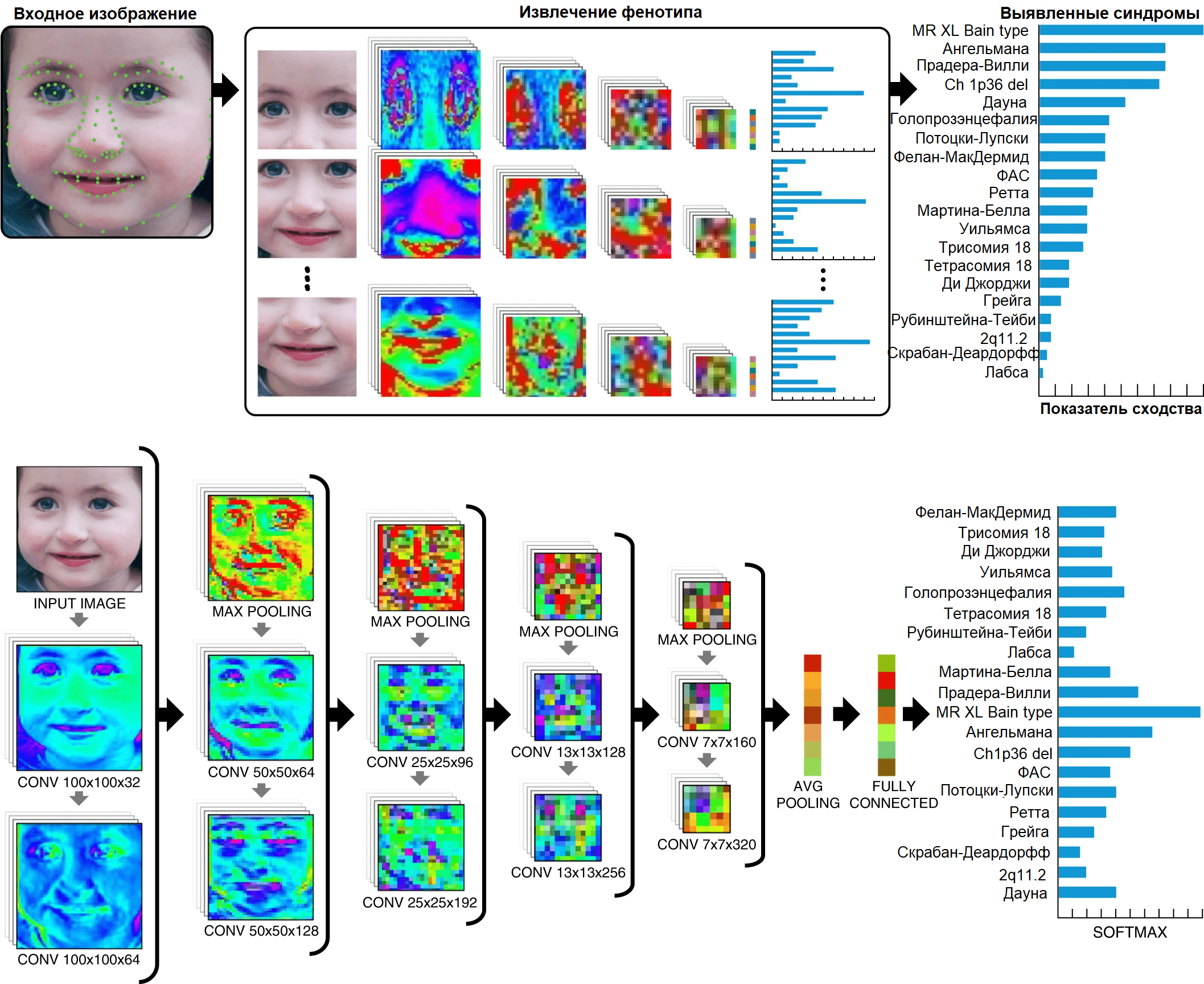 Этапы обработки изображения, подаваемого нейросети на вход