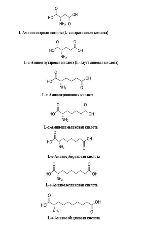 Структуры известных α-аминодикарбоновых кислот