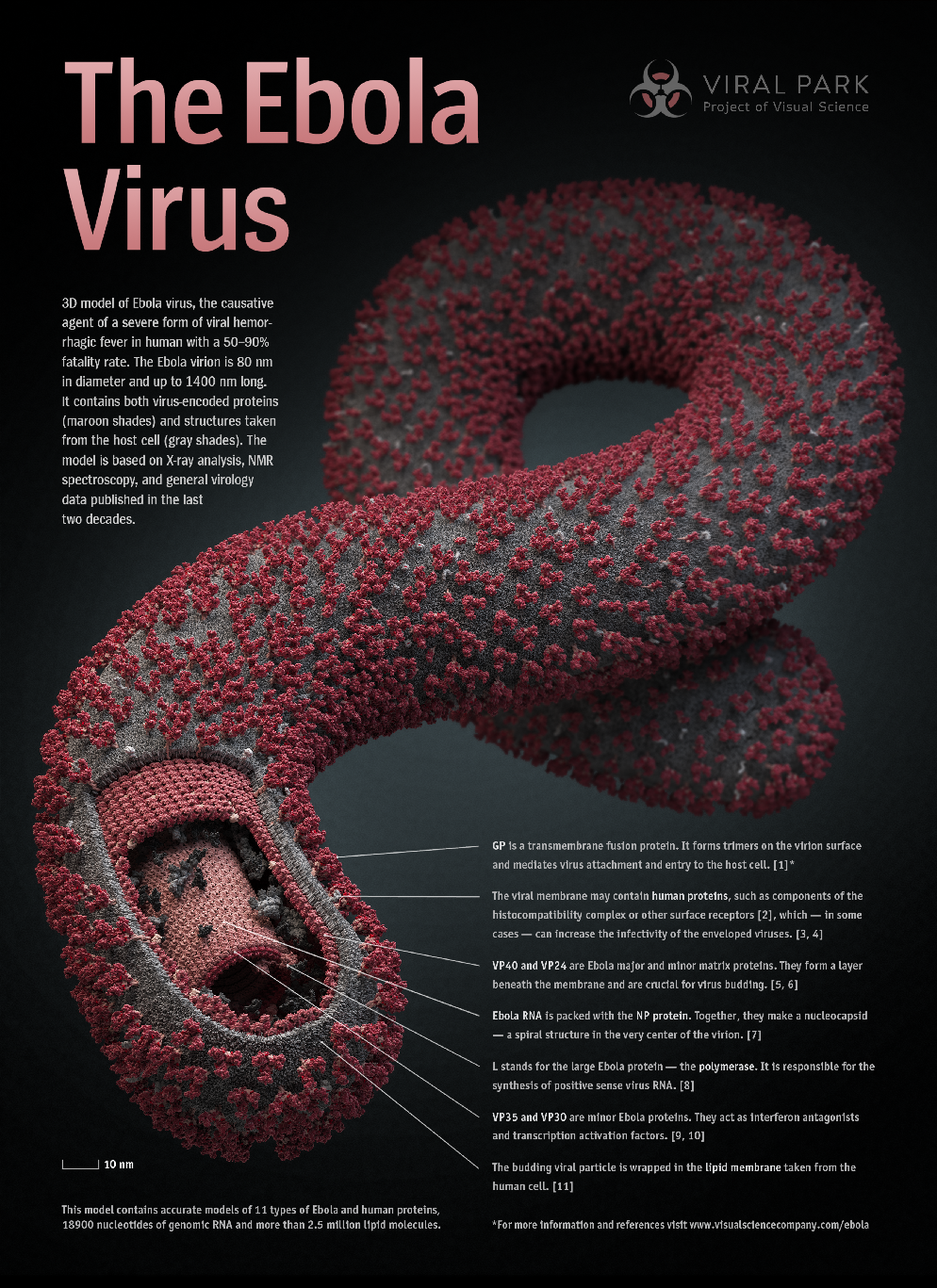 Информационный плакат о вирусе Эбола