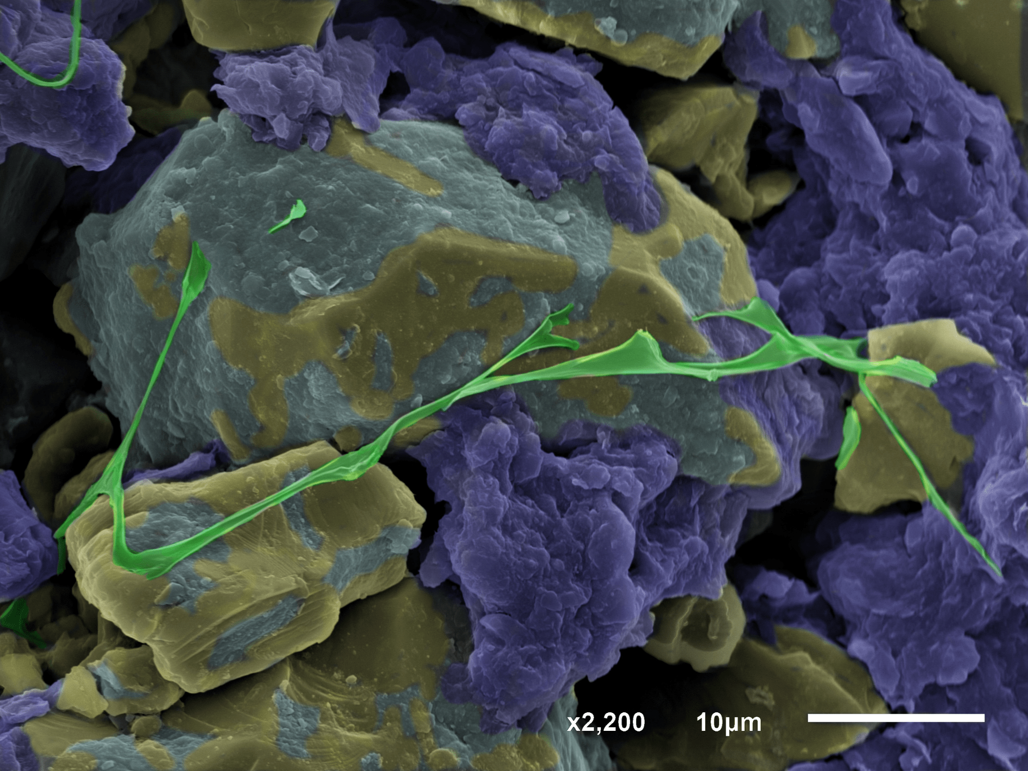 Сканирующая электронная микроскопия частичек почвы