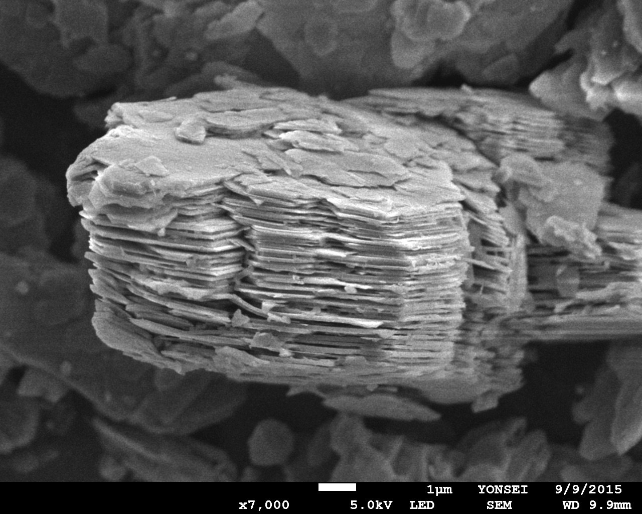 Слоистая структура глинистого минерала каолинита под электронным микроскопом
