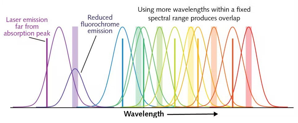 Спектральные особенности цитофлуориметрического анализа (реальная ситуация)