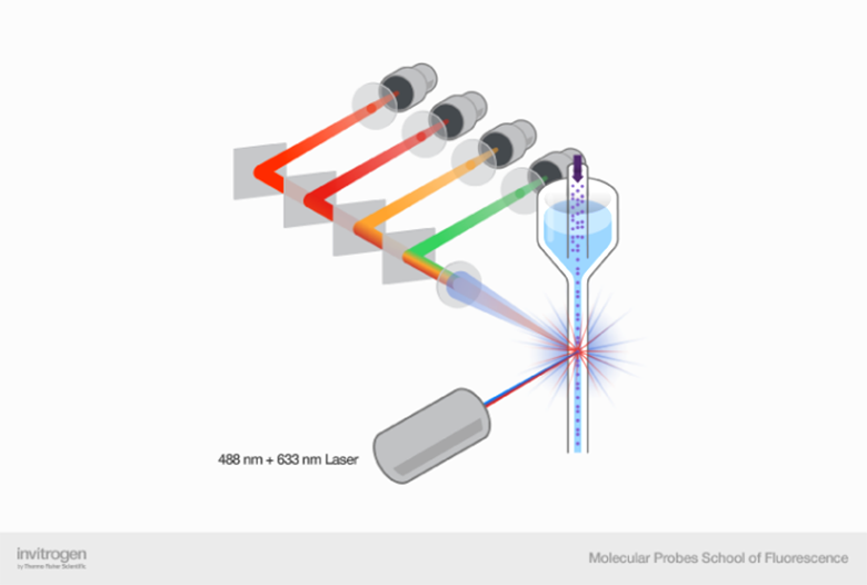 Коллинеарное расположение лазеров и детекторов